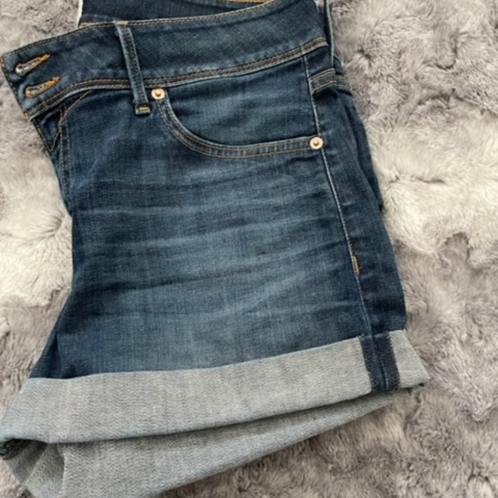 Hudson Croxley Mid-Rise Short